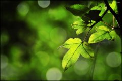 生活很烦很累的心情说说短句(推荐65句)