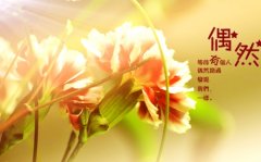 肚子饿了睡不着的说说句子(必备68句)