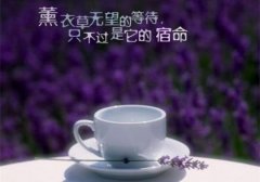 霸气高冷到爆的句子(共234句)