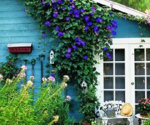 发抖音心情的精美句子(实用62句)