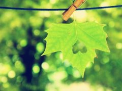 愉快的周末的心情说说(精选148句)