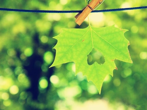 愉快的周末的心情说说(精选148句)