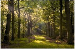 周末简单心情说说大全句子(68句)