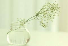 送给目中无人不尊重人的句子(共67句)