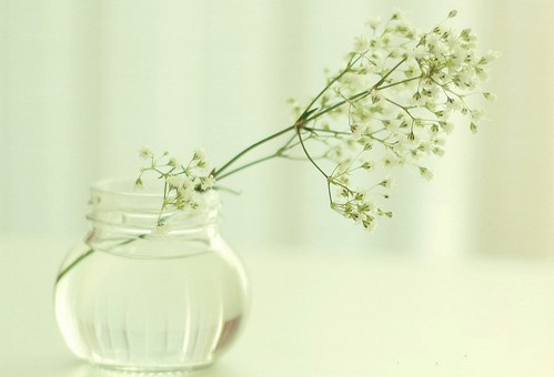 送给目中无人不尊重人的句子(共67句)