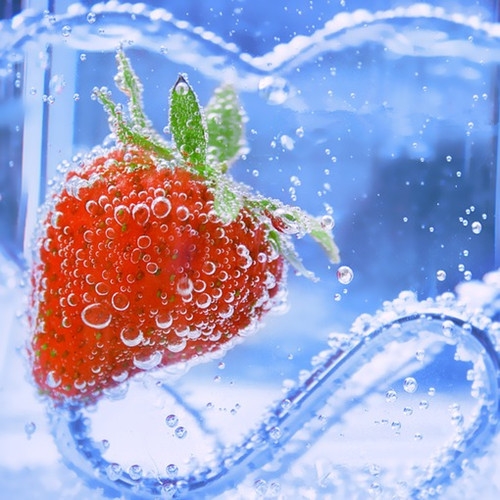 一人一茶一心境的句子(共86句)