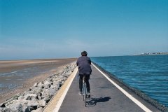 看得起我的句子说说(优选80句)