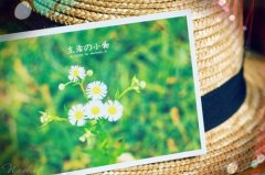 最精辟的个性语录短句(共70句)