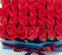 拉肚子的说说心情短句(共76句)