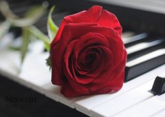 形容一泡好茶的句子(汇总60句)