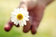 早上发朋友圈的句子(推荐84句)