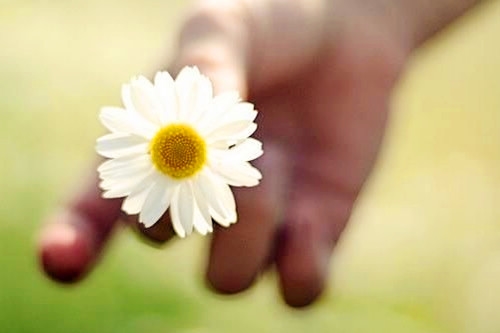 早上发朋友圈的句子(推荐84句)