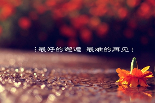 每日晚安句子经典语句(推荐84句)