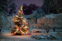 小朋友收到礼物后的感谢语(通用86句)