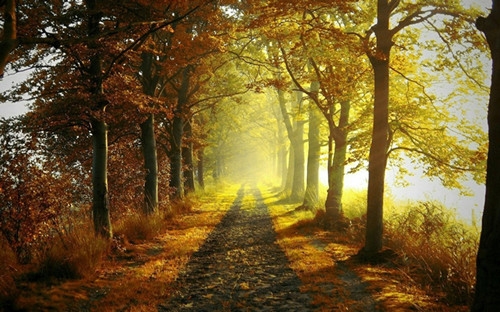 姑姑送侄女生日话唯美句子大全(共65句) 姑姑送侄女生日话唯美句子大全(共65句)