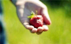 最新简短的陌陌签名(91句)