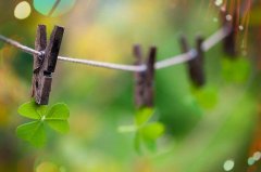 阅读经典的宣传标语(实用547句)