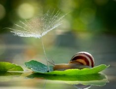 让人难过的心痛微信网名(共254个)