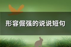 形容倔强的说说短句(必备70句)