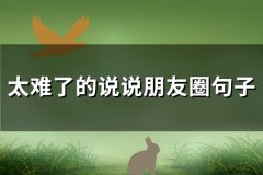 太难了的说说朋友圈句子(推荐100句)