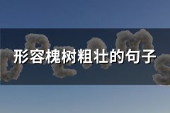 形容槐树粗壮的句子(推荐57句)
