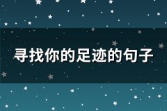 寻找你的足迹的句子(推荐46句)