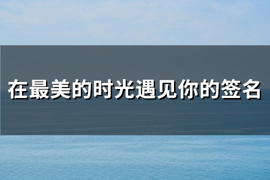 在最美的时光遇见你的签名(共77句)