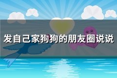 发自己家狗狗的朋友圈说说(实用89句)