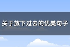 关于放下过去的优美句子(共67句)