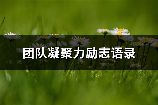 团队凝聚力励志语录(必备63句) 团队凝聚力励志语录(必备63句)