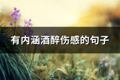 有内涵酒醉伤感的句子(热门82句)
