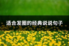 适合发圈的经典说说句子(热门83句)