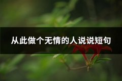 从此做个无情的人说说短句(精选67句)