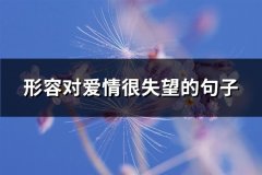 形容对爱情很失望的句子(108句)