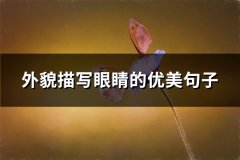外貌描写眼睛的优美句子(共90句)