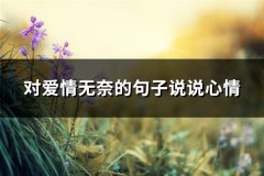 对爱情无奈的句子说说心情(必备70句)