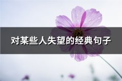 对某些人失望的经典句子(优选72句)