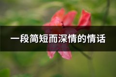 一段简短而深情的情话(热门65句)