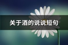 关于酒的说说短句(实用64句)