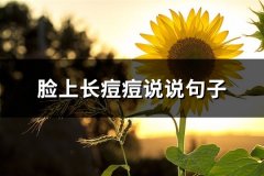 脸上长痘痘说说句子(汇总83句)