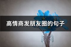 高情商发朋友圈的句子(汇总64句)