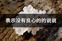 表示没有良心的的说说(汇总60句)