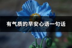 有气质的早安心语一句话(精选68句)