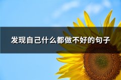 发现自己什么都做不好的句子(通用77句)