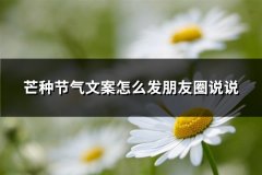 芒种节气文案怎么发朋友圈说说(推荐81句)