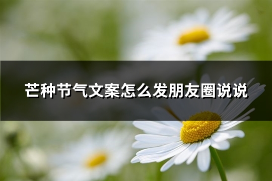 芒种节气文案怎么发朋友圈说说(推荐81句)