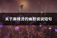 关于麻辣烫的幽默说说短句(推荐63句)