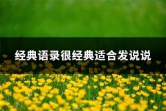 经典语录很经典适合发说说(优选67句)