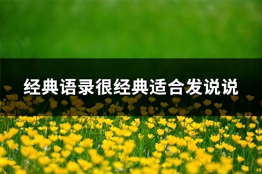 经典语录很经典适合发说说(优选67句)