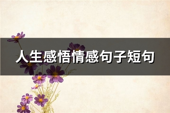 人生感悟情感句子短句(实用66句)